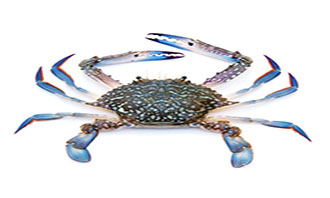 Crustaceans