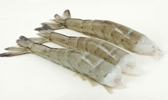 Crustaceans