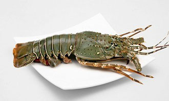 Crustaceans